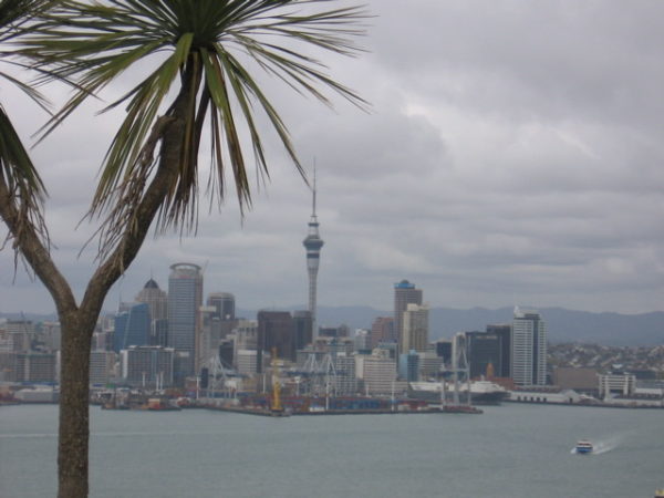 View of downtown Auckland from Mt. Victoria